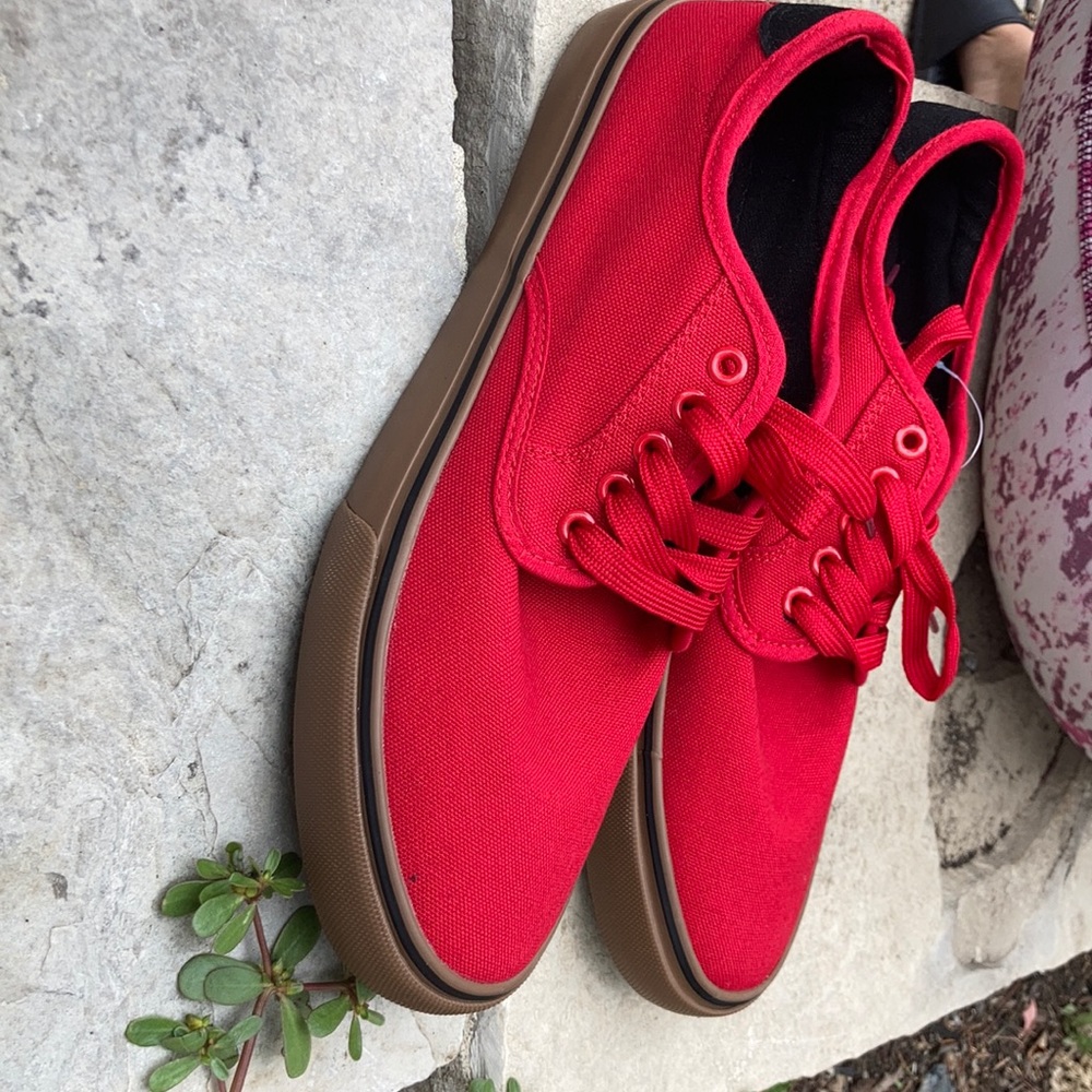 Zoo York shoes